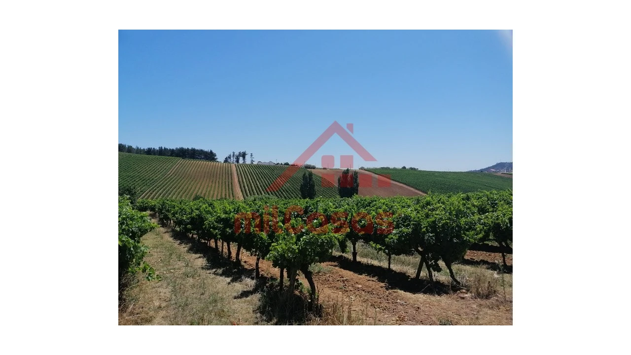 Terreno para Venda em Freiria Foto 1