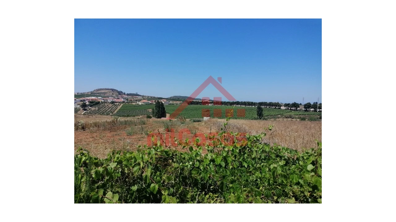 Terreno para Venda em Freiria Foto 6