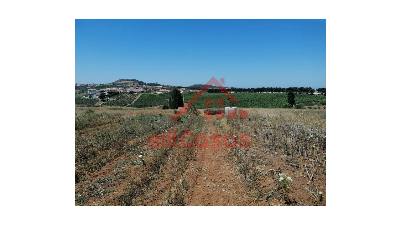 Terreno para Venda em Freiria Foto 7