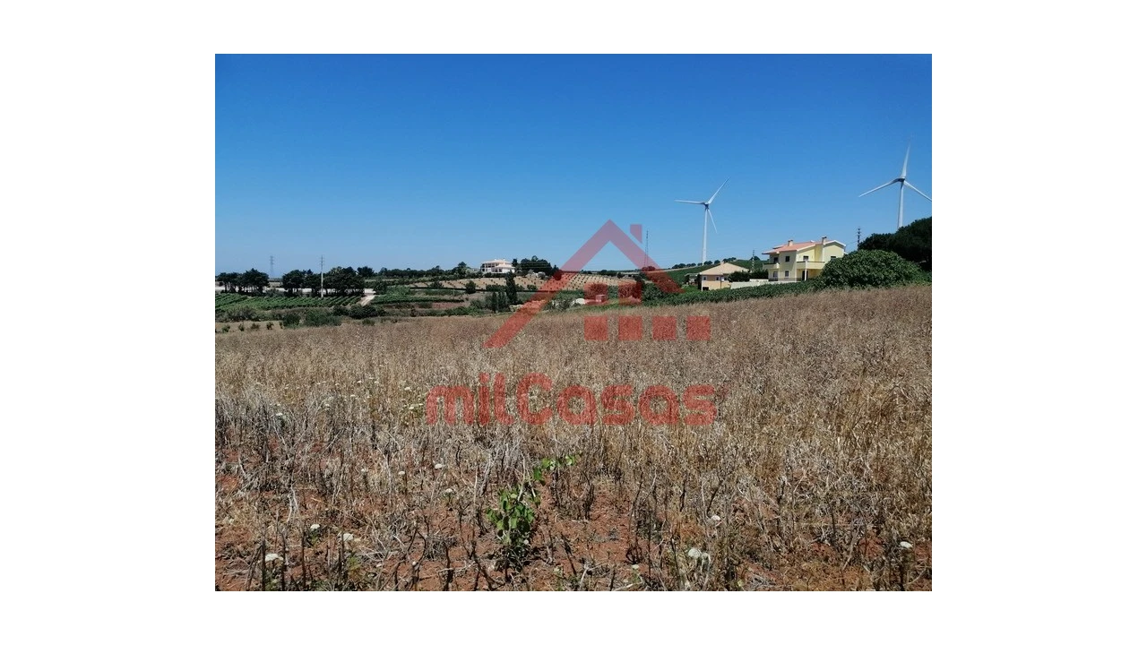 Terreno para Venda em Freiria Foto 10