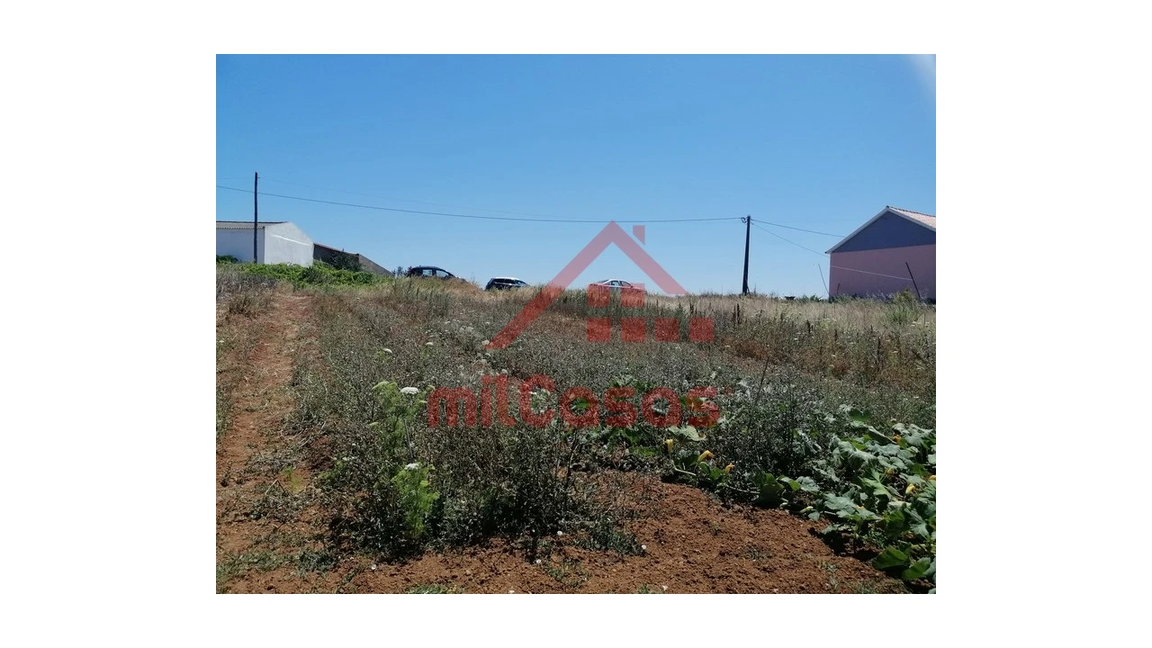 Terreno para Venda em Freiria Foto 11