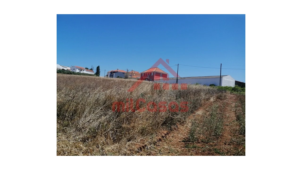 Terreno para Venda em Freiria Foto 12