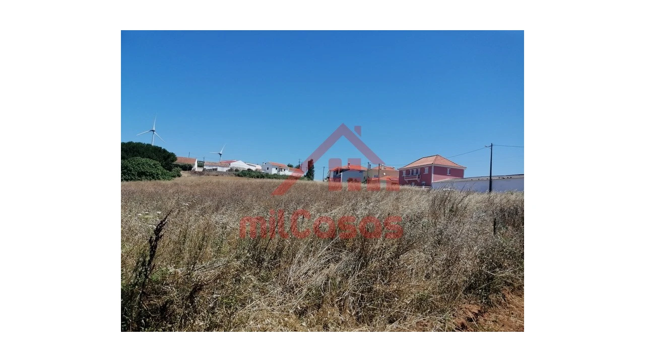 Terreno para Venda em Freiria Foto 13