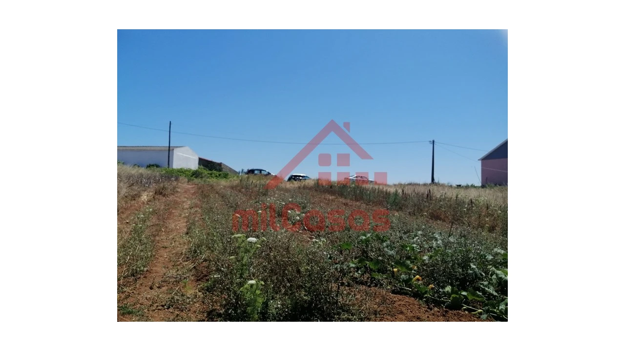 Terreno para Venda em Freiria Foto 14