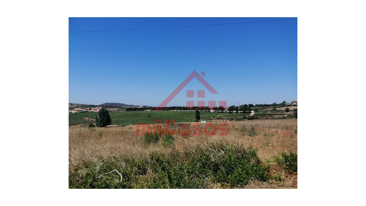 Terreno para Venda em Freiria Foto 16