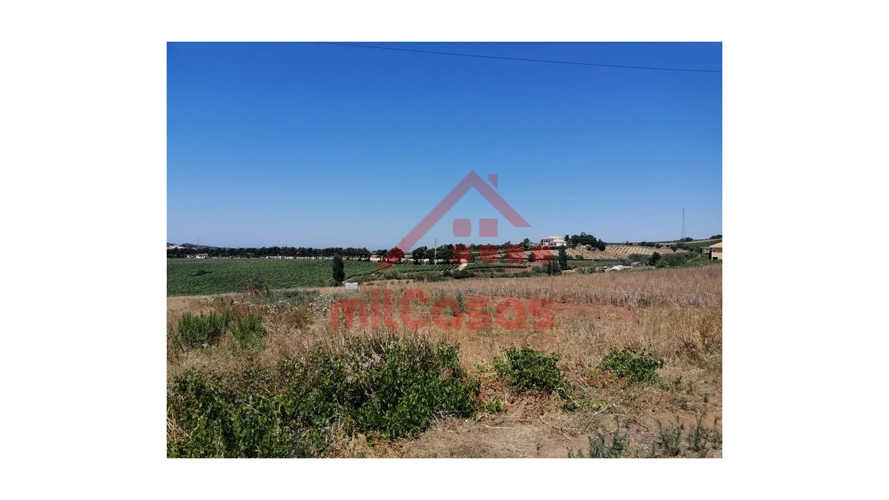 Terreno para Venda em Freiria Foto 17