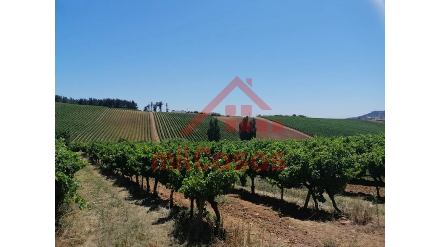 Terreno para Venda em Freiria Foto 1