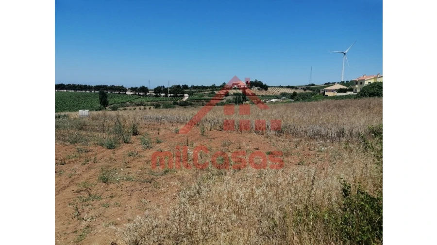 Terreno para Venda em Freiria Foto 2