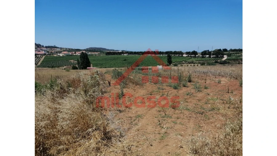 Terreno para Venda em Freiria Foto 3