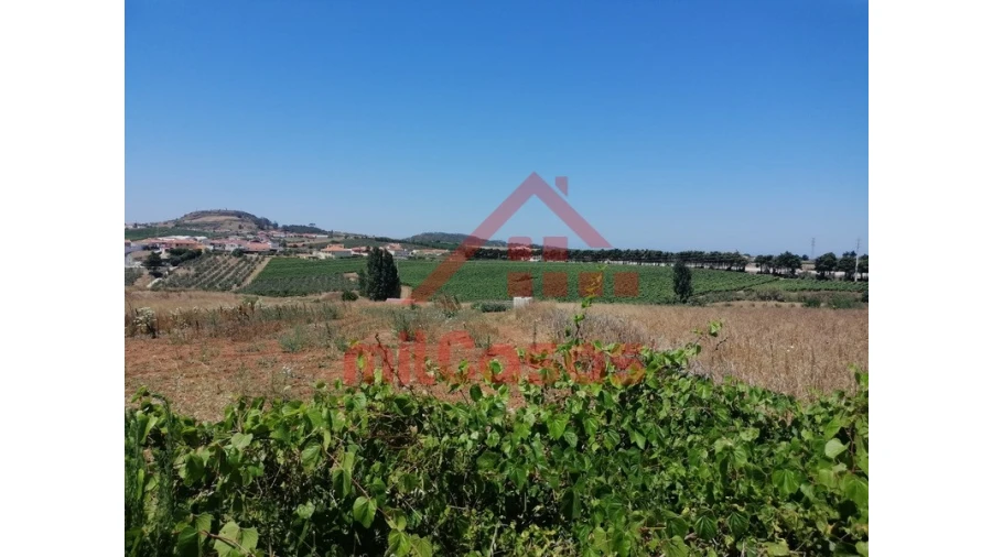 Terreno para Venda em Freiria Foto 6