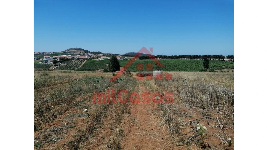 Terreno para Venda em Freiria Foto 7