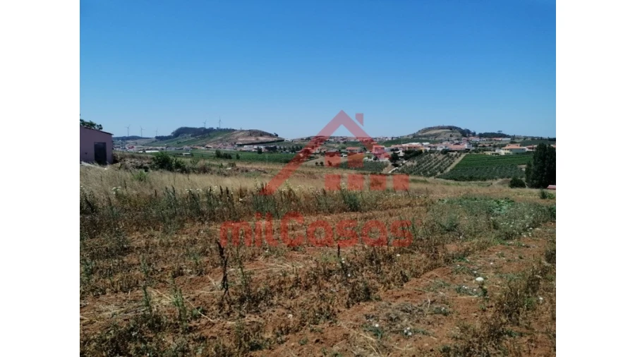 Terreno para Venda em Freiria Foto 8