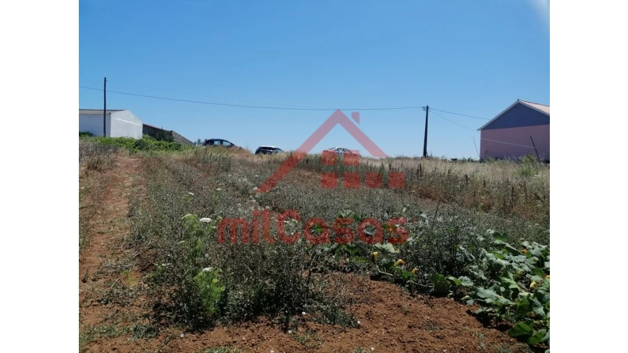 Terreno para Venda em Freiria Foto 11