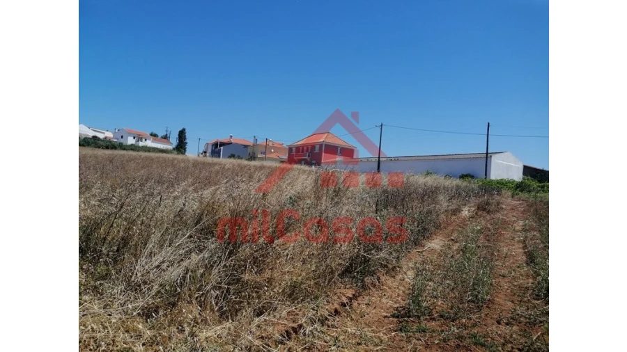 Terreno para Venda em Freiria Foto 12