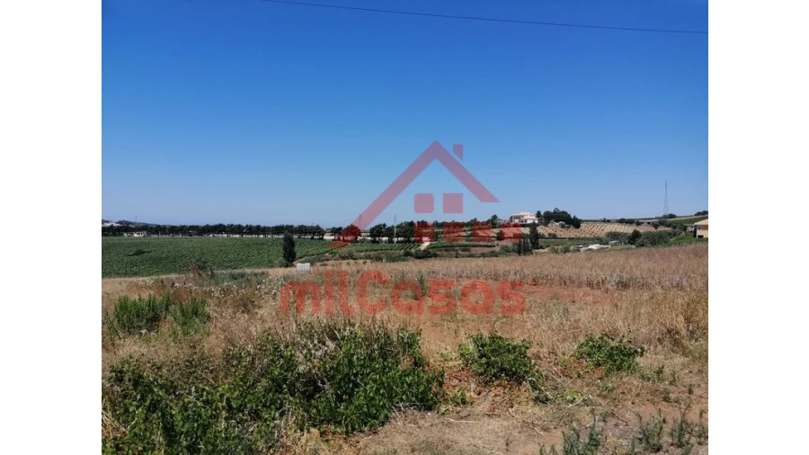 Terreno para Venda em Freiria Foto 17