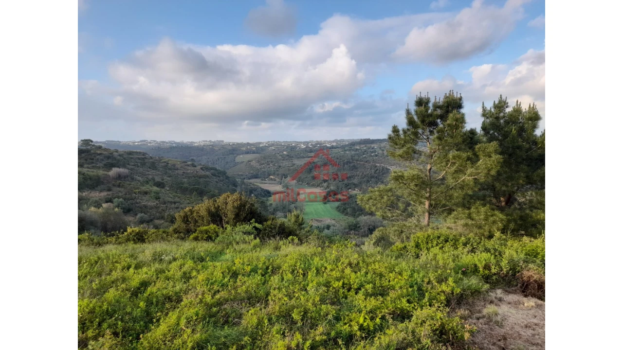 Terreno Agricola ou Rústico para Venda em Carvoeira Foto 7