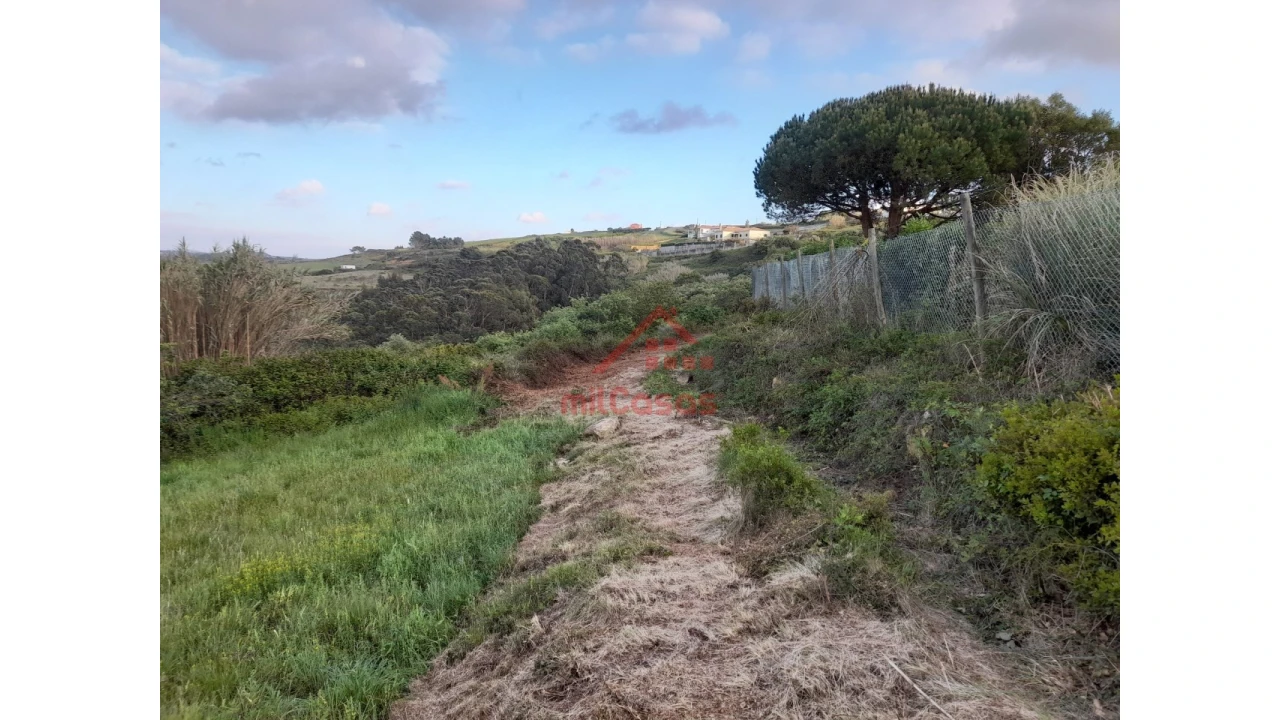 Terreno Agricola ou Rústico para Venda em Carvoeira Foto 8