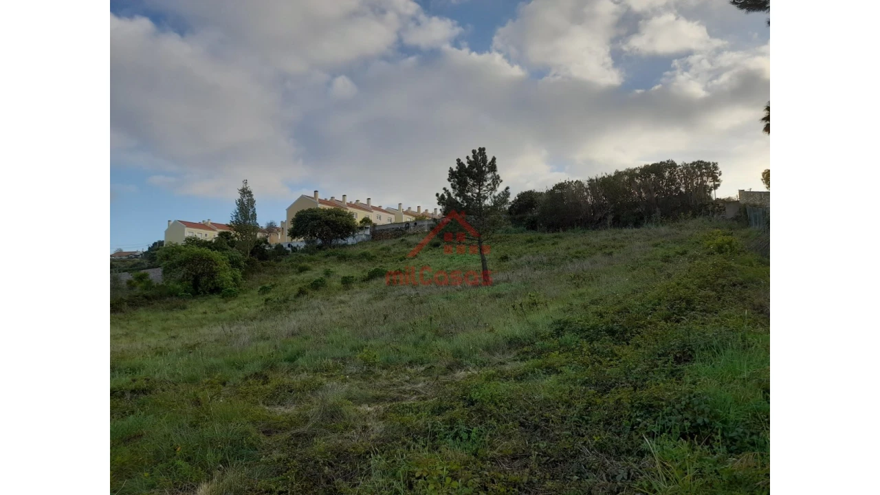 Terreno Agricola ou Rústico para Venda em Carvoeira Foto 9