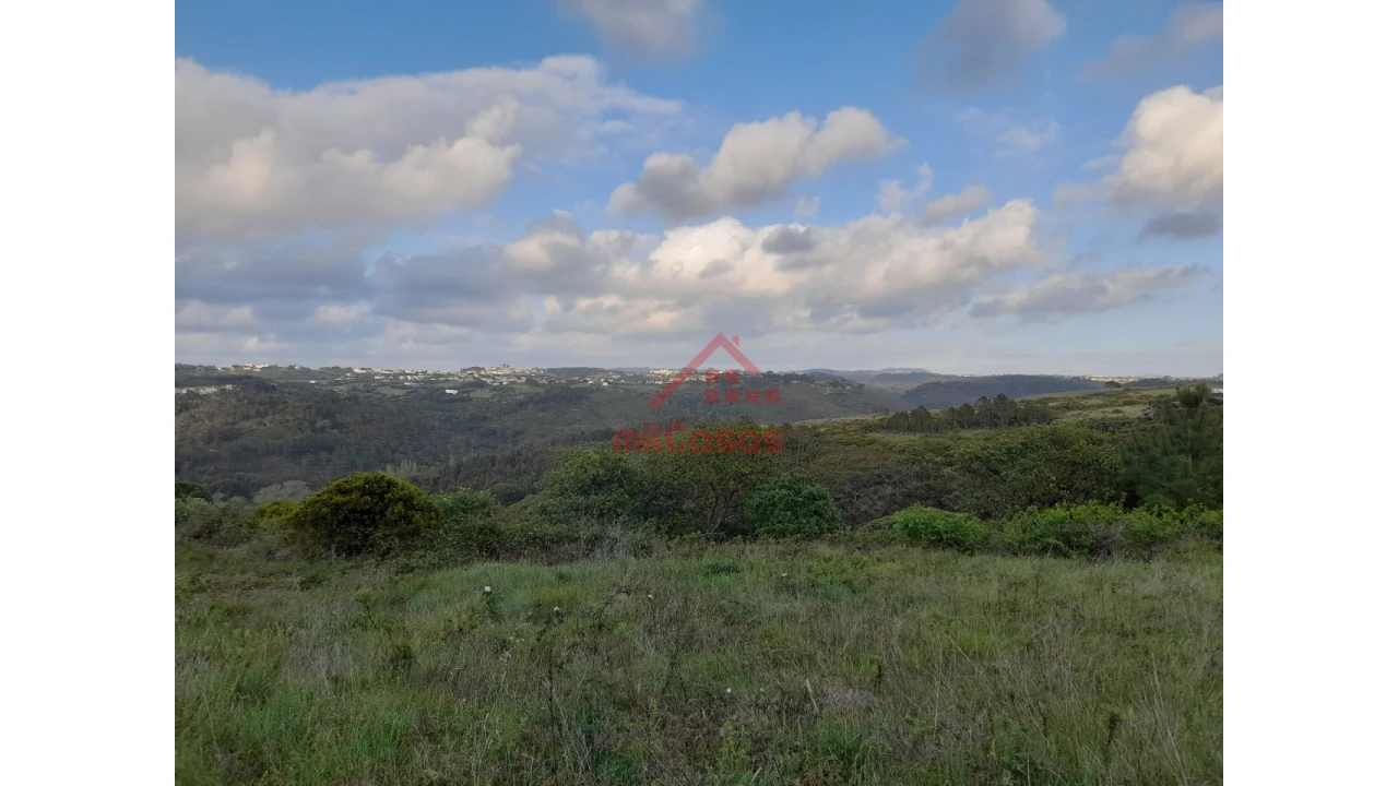 Terreno Agricola ou Rústico para Venda em Carvoeira Foto 11