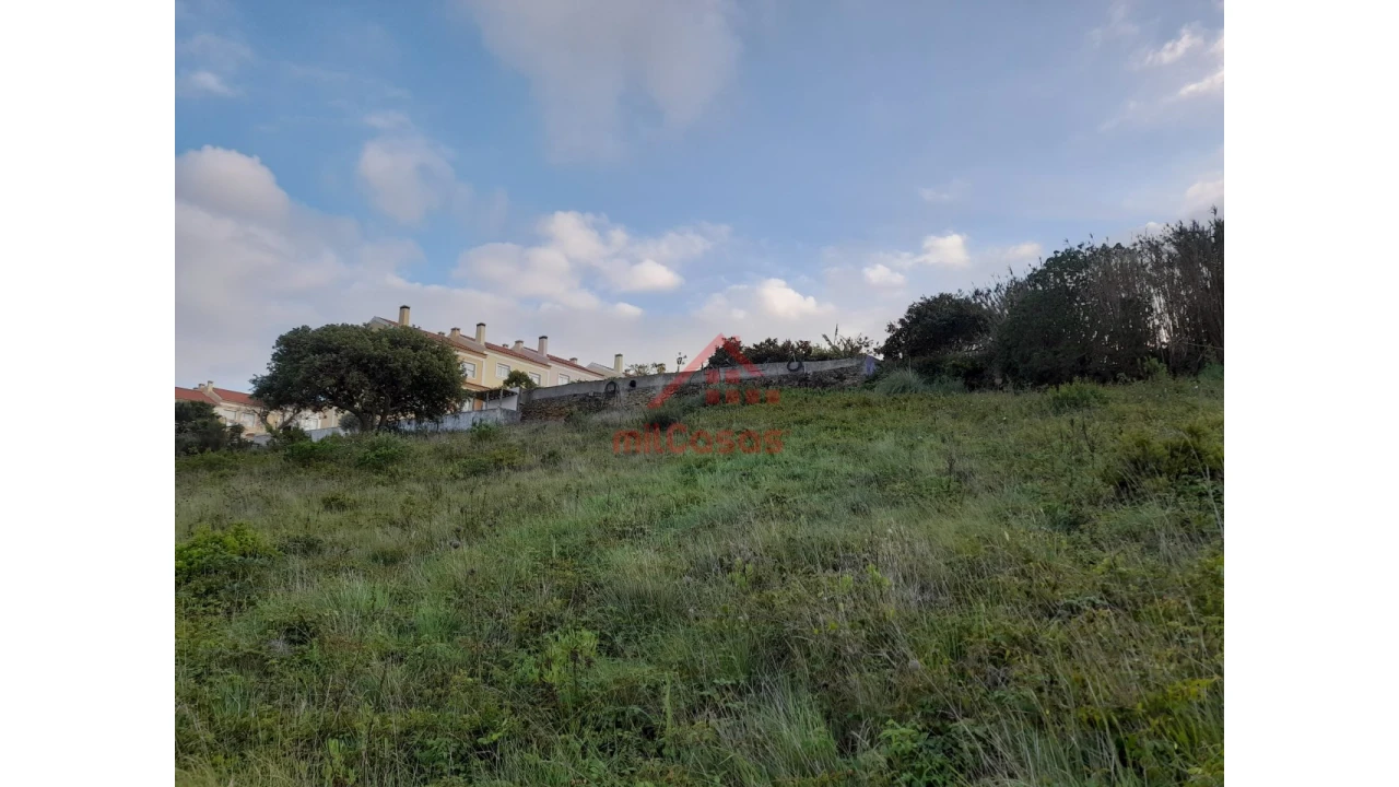 Terreno Agricola ou Rústico para Venda em Carvoeira Foto 12