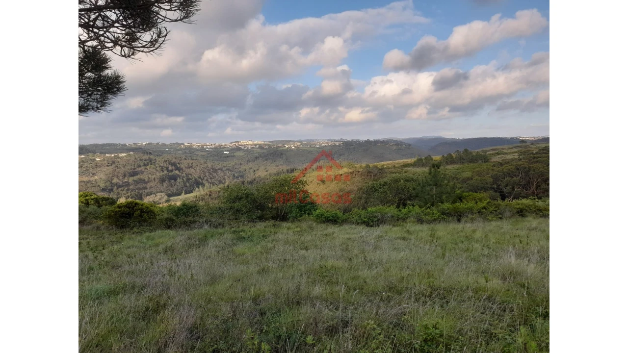 Terreno Agricola ou Rústico para Venda em Carvoeira Foto 13