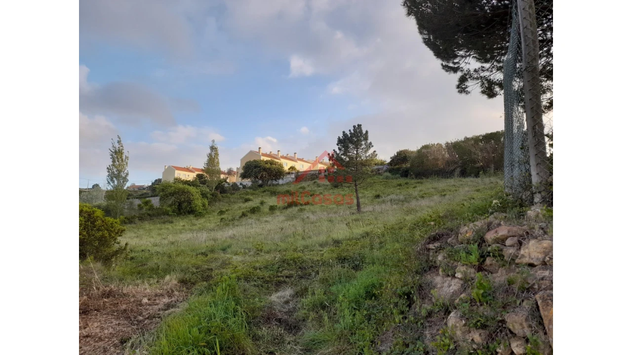 Terreno Agricola ou Rústico para Venda em Carvoeira Foto 16
