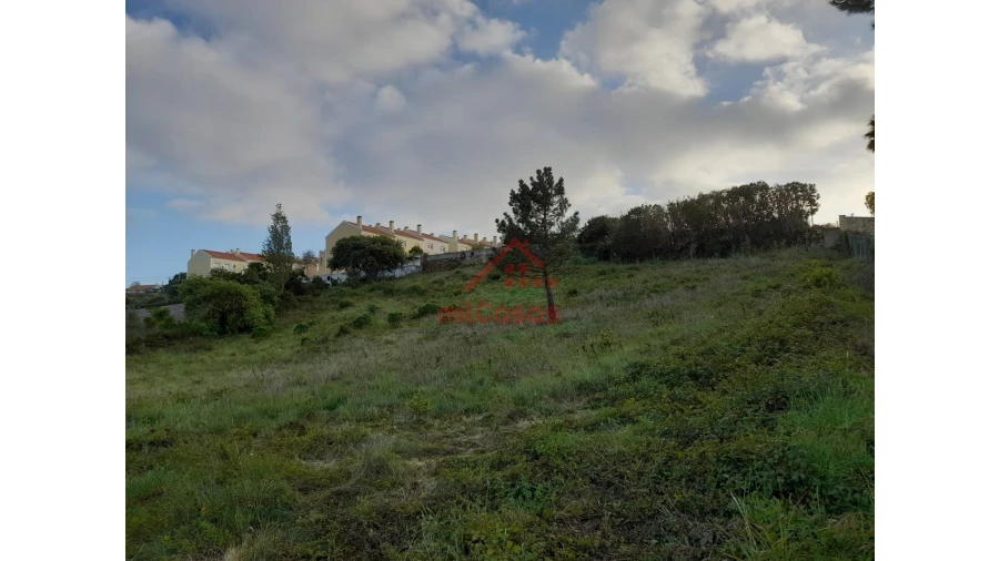 Terreno Agricola ou Rústico para Venda em Carvoeira Foto 9