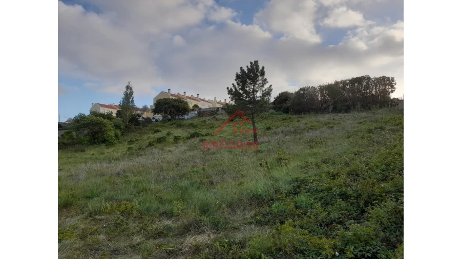 Terreno Agricola ou Rústico para Venda em Carvoeira Foto 10