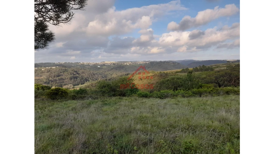 Terreno Agricola ou Rústico para Venda em Carvoeira Foto 13