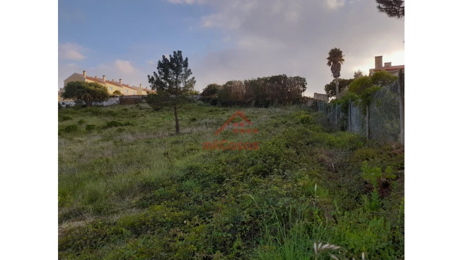 Terreno Agricola ou Rústico para Venda em Carvoeira Foto 14