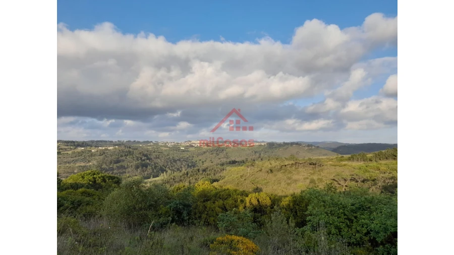Terreno Agricola ou Rústico para Venda em Carvoeira Foto 15