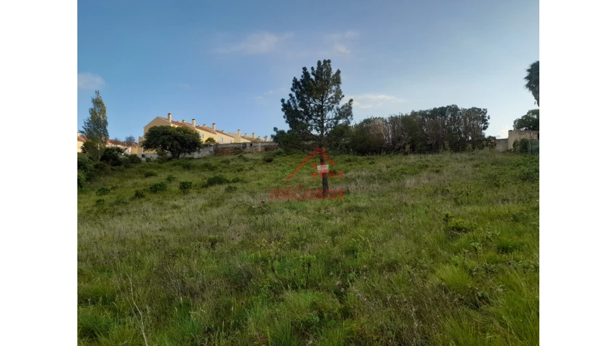 Terreno Agricola ou Rústico para Venda em Carvoeira Foto 3
