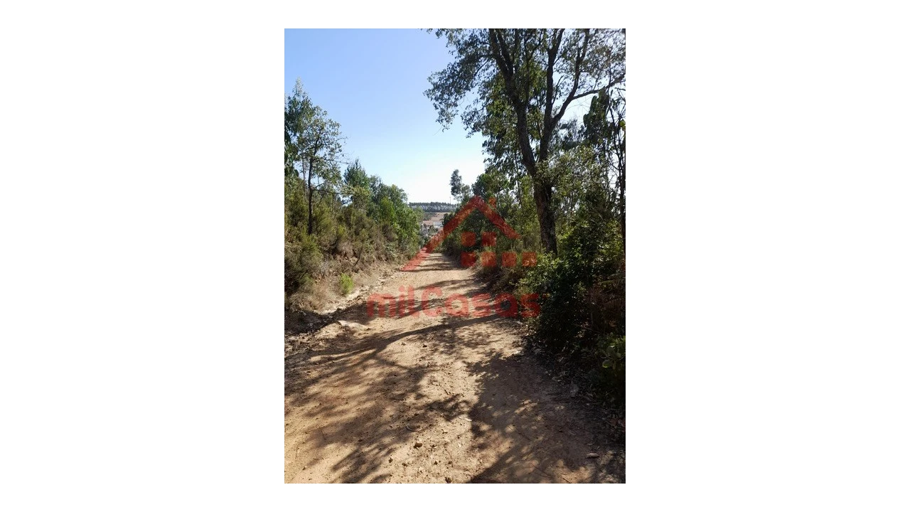 Terreno Agricola ou Rústico para Venda em Venda do Pinheiro e Santo Estêvão das Galés Foto 2