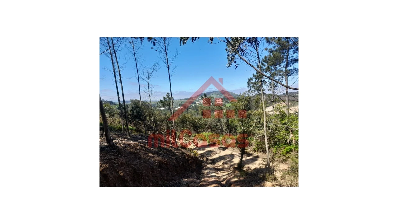 Terreno Agricola ou Rústico para Venda em Venda do Pinheiro e Santo Estêvão das Galés Foto 3