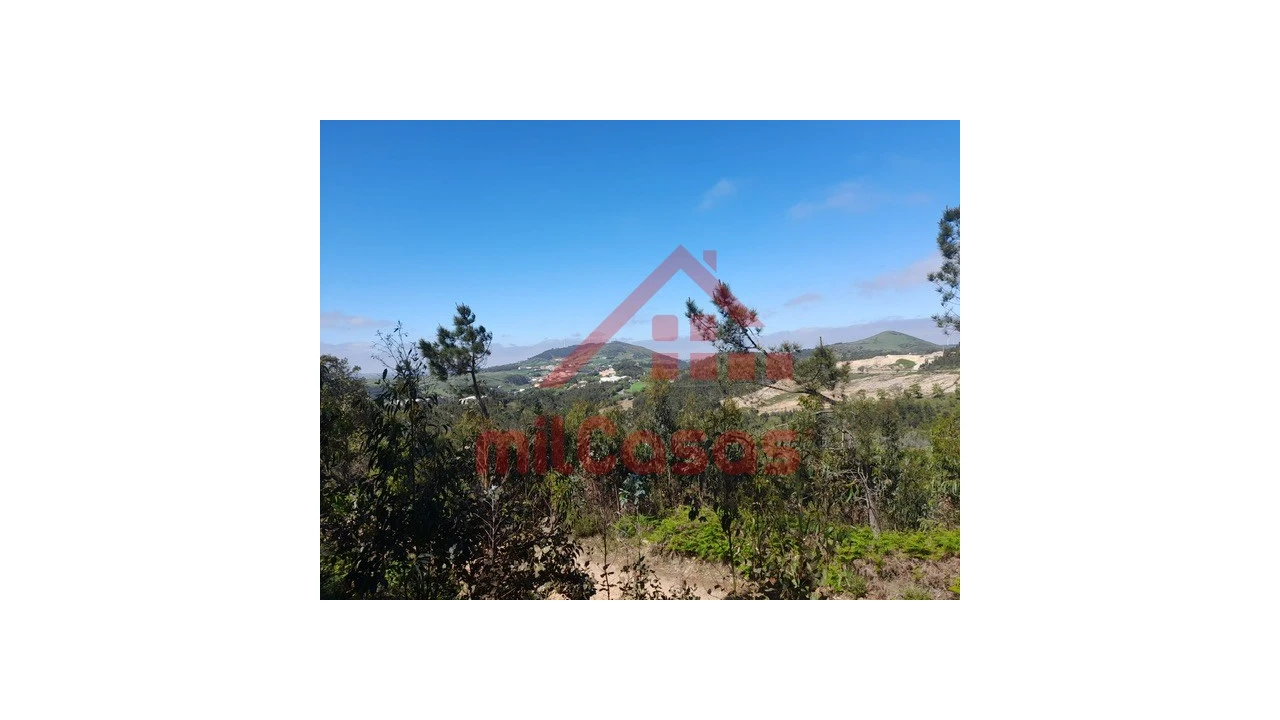 Terreno Agricola ou Rústico para Venda em Venda do Pinheiro e Santo Estêvão das Galés Foto 4