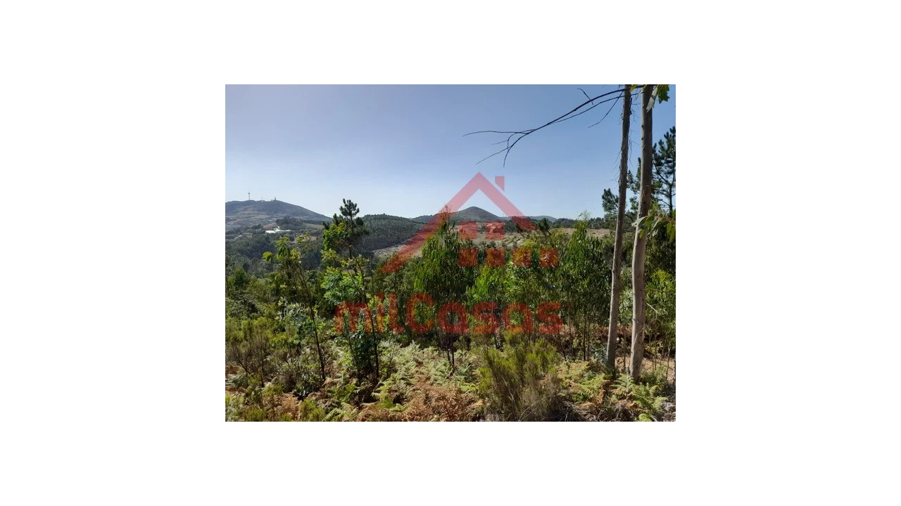 Terreno Agricola ou Rústico para Venda em Venda do Pinheiro e Santo Estêvão das Galés Foto 5