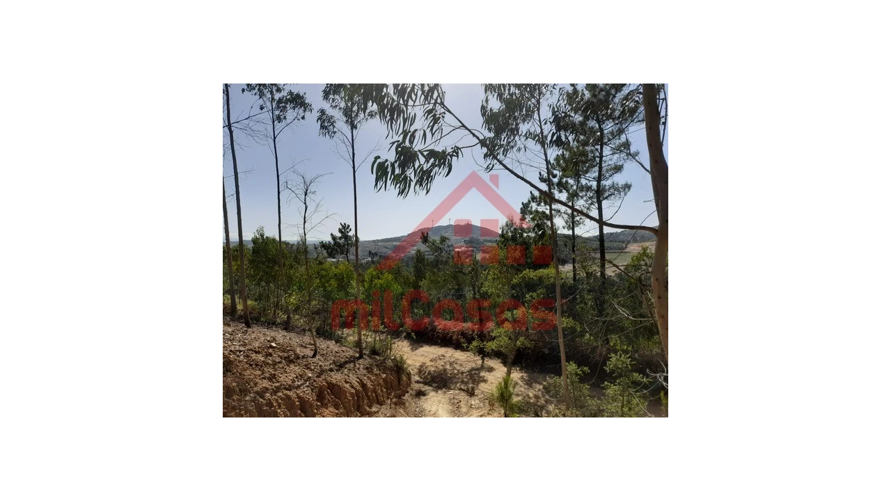 Terreno Agricola ou Rústico para Venda em Venda do Pinheiro e Santo Estêvão das Galés Foto 6