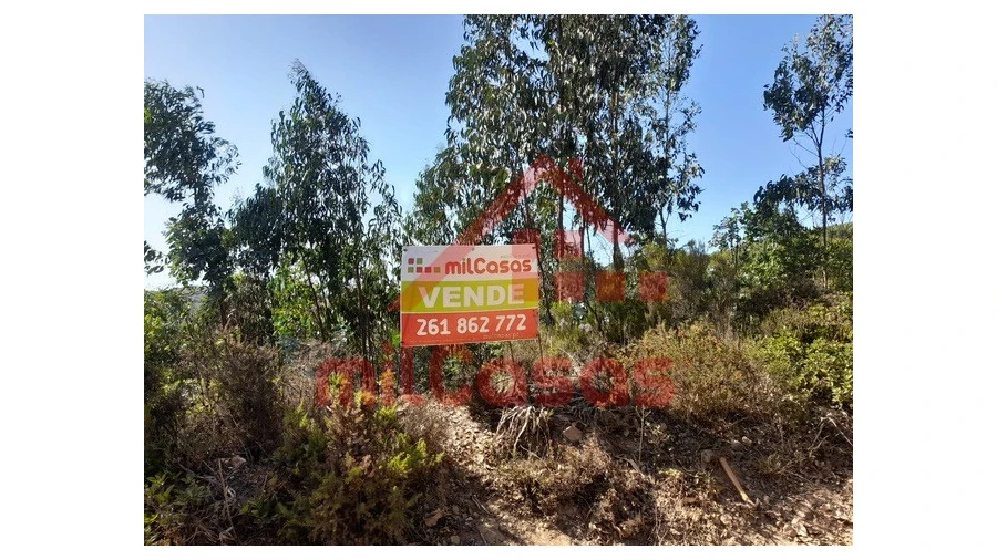 Terreno Agricola ou Rústico para Venda em Venda do Pinheiro e Santo Estêvão das Galés Foto 1