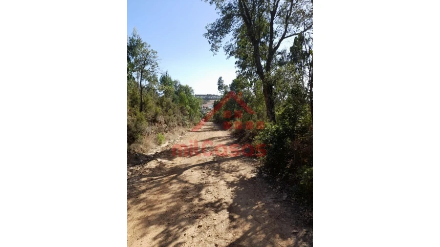 Terreno Agricola ou Rústico para Venda em Venda do Pinheiro e Santo Estêvão das Galés Foto 2