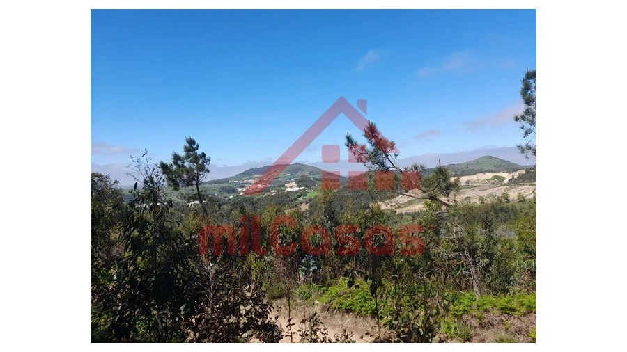 Terreno Agricola ou Rústico para Venda em Venda do Pinheiro e Santo Estêvão das Galés Foto 4