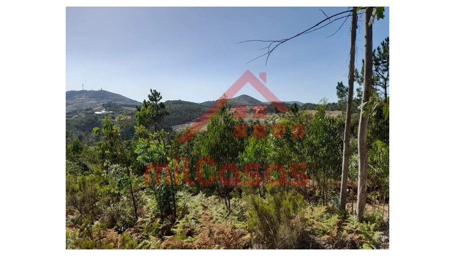 Terreno Agricola ou Rústico para Venda em Venda do Pinheiro e Santo Estêvão das Galés Foto 5