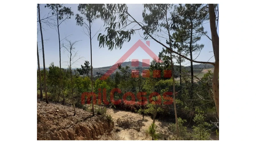 Terreno Agricola ou Rústico para Venda em Venda do Pinheiro e Santo Estêvão das Galés Foto 6