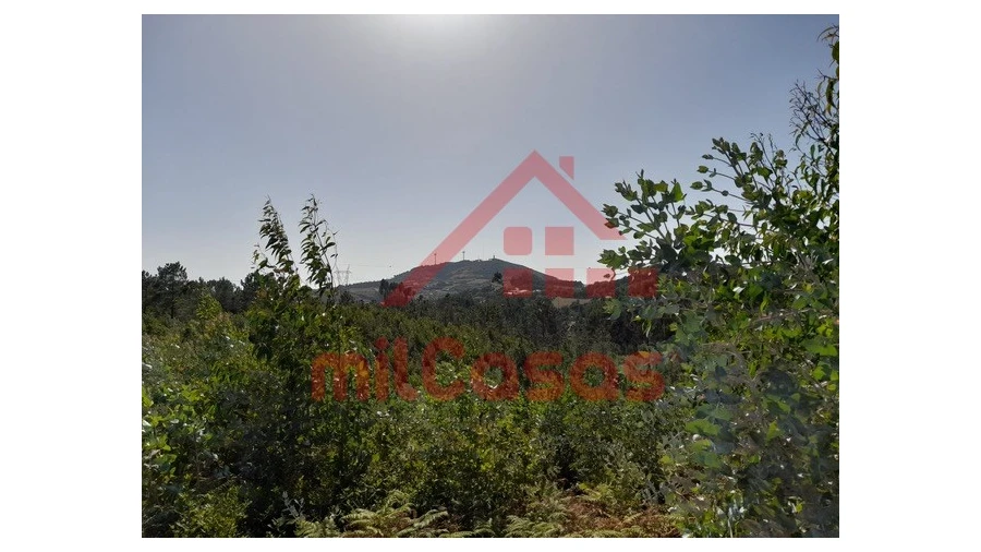 Terreno Agricola ou Rústico para Venda em Venda do Pinheiro e Santo Estêvão das Galés Foto 7