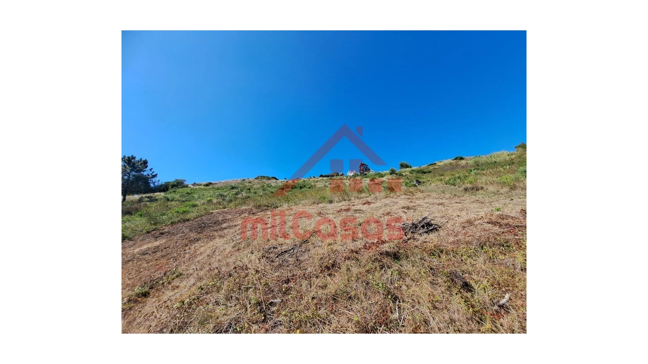 Terreno Agricola ou Rústico para Venda em Santa Maria, São Pedro e Matacães Foto 19