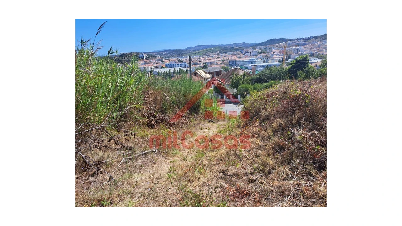 Terreno Agricola ou Rústico para Venda em Santa Maria, São Pedro e Matacães Foto 12