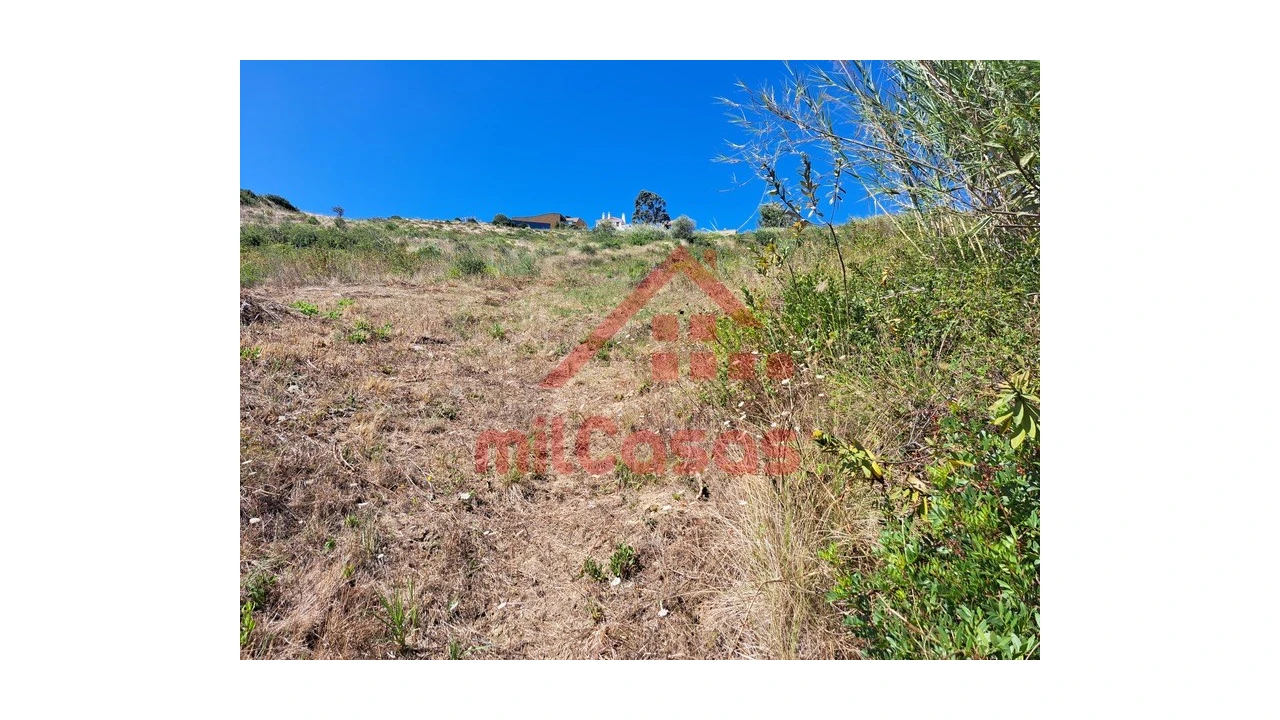 Terreno Agricola ou Rústico para Venda em Santa Maria, São Pedro e Matacães Foto 22