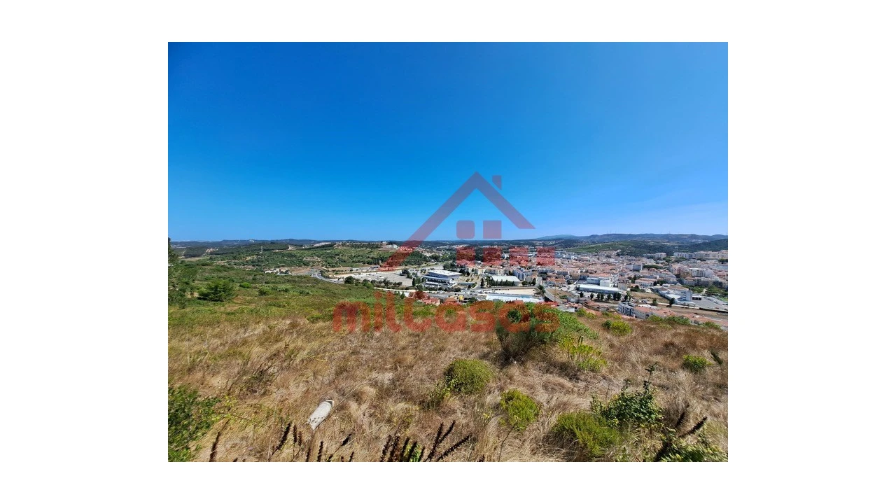 Terreno Agricola ou Rústico para Venda em Santa Maria, São Pedro e Matacães Foto 13