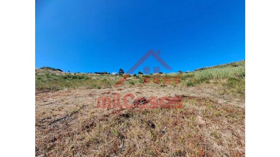 Terreno Agricola ou Rústico para Venda em Santa Maria, São Pedro e Matacães Foto 18