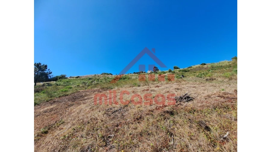 Terreno Agricola ou Rústico para Venda em Santa Maria, São Pedro e Matacães Foto 19