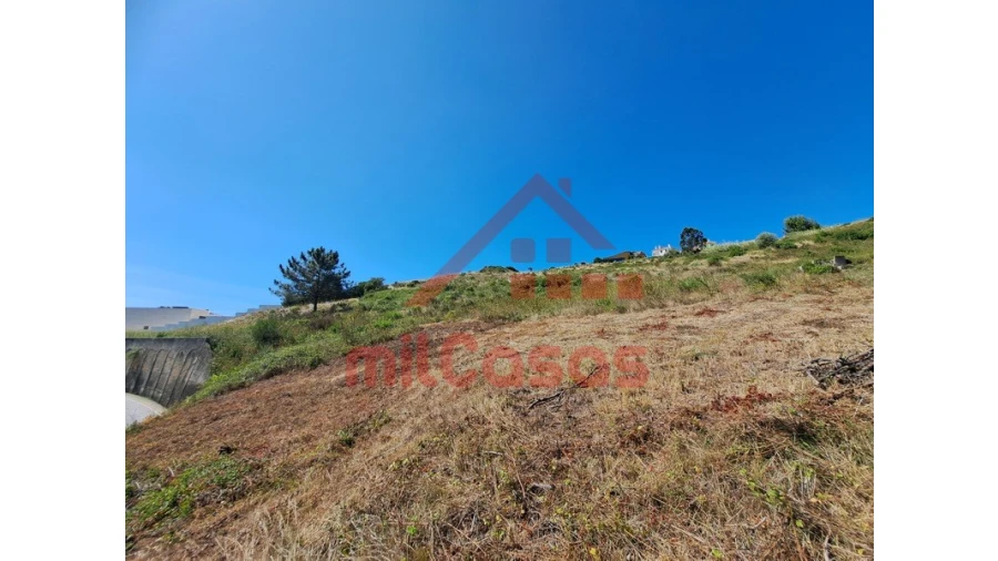 Terreno Agricola ou Rústico para Venda em Santa Maria, São Pedro e Matacães Foto 20